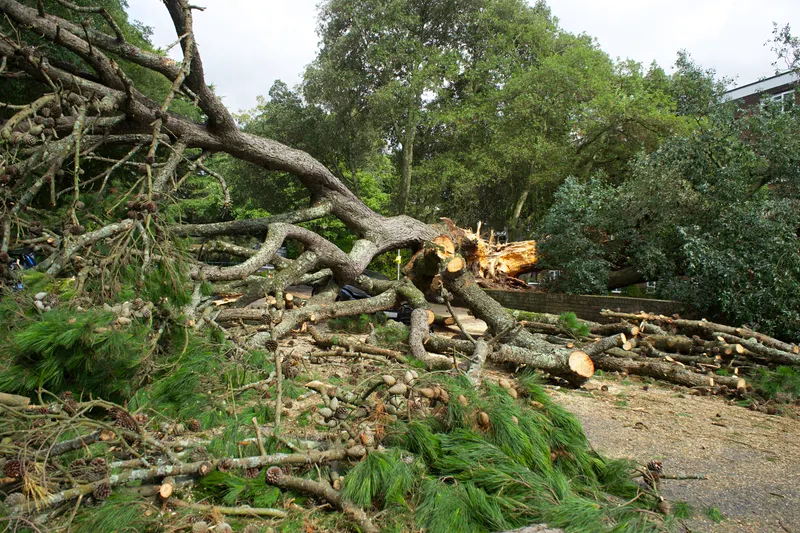 Fewer Storm-Season Emergency Calls
