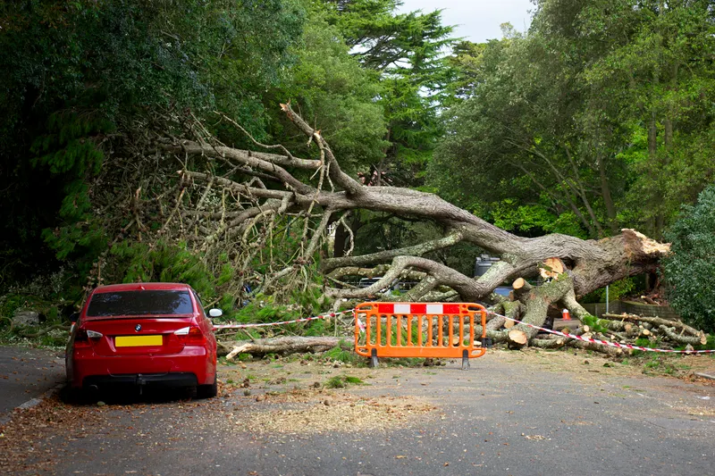 Often Avoids the Removal Permit Entirely