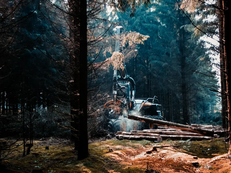 Crane-Assisted Tree Removal