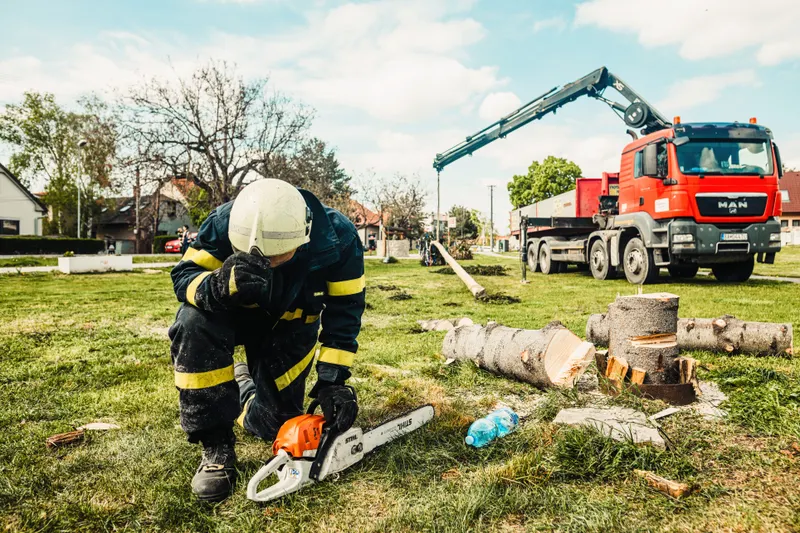 Site Tree Care Near The Star and Frisco's Sports Corridor